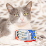 Kittybelles Sardine Tin