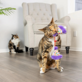 Kittybelles Party Hats