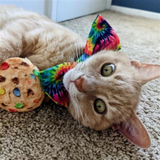 Kittybelles Cats Ahoy