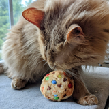 Kittybelles Cats Ahoy