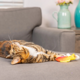 Kittybelles Rainbow Guppy