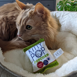 Kittybelles Kitty Pop