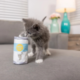 Kittybelles High Tail