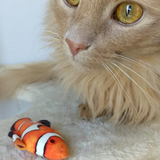 Kittybelles Clownfish Cat Toy