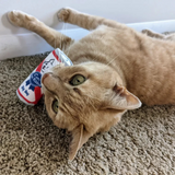 Kittybelles Blue Ribbon