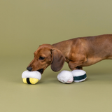 Rice To Meet You Mini Dog Toys