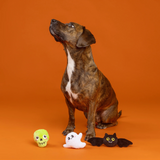 Fringe Boo Yah Mini Dog Toy 3pk