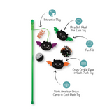 Fringe Blind and Seek 6pk Cat Toy