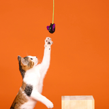 Fringe Blind and Seek 6pk Cat Toy