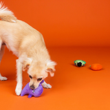 Fringe Spooky Squad Mini Dog Toy 3pk