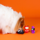 Fringe Fright This Way Mini Dog Toy 3pk