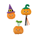 Fringe Witch of The Patch Cat Toy 3pk
