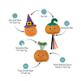 Fringe Witch of The Patch Cat Toy 3pk