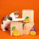 Fringe Witch of The Patch Cat Toy 3pk