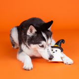 Fringe Latex One Wicked Ghost Dog Toy