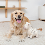 Fringe Earned My Stripes Dog Toy