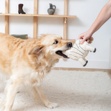 Fringe Earned My Stripes Dog Toy