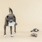 Fringe Wild Ones Canvas Mini 3 Pack Toy Set