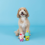 Fringe Best Teas 2pk Latex Toy