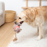 Fringe Chip Mixed Material Dog Toy