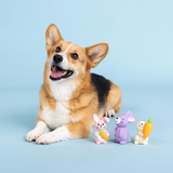 Fringe Hop Love Carrots 3pk Latex Dog Toy