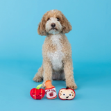 Fringe Apple Of My Eye 3 Pack Small Dog Toy Set