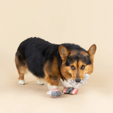 Fringe Rain Or Shine 3pk Dog Toys