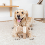 Fringe It In The Trunk Earth Friendly Dog Toy