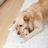 Fringe It In The Trunk Earth Friendly Dog Toy