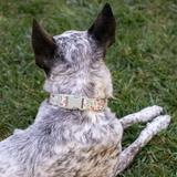 Petshop Ditsy Floral Dog Collar