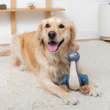 Petshop Feather Than Ever Earth Friendly Dog Toy