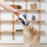 Petshop Feather Than Ever Earth Friendly Dog Toy