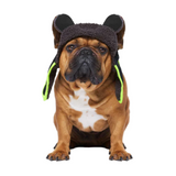 Canada Pooch Cool Factor Aviator Hat Back