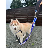 Dolans Double Handle Service Leash 5/8in Reflective