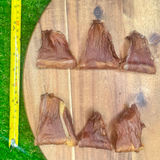 Furever Fierce Rabbit Ribbon 5ct