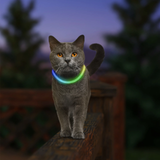 Nite Ize NiteMeow Rechargeable LED Safety Necklace