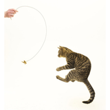 Cat Dancer Original Cat Toy