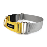 Dubdog Dijon and Silver Dog Collar