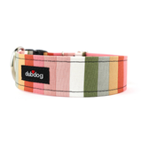 Dubdog Ginger Dog Collar