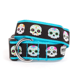 Dog collar with colorful skull pattern on a black background