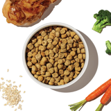 Honest Kitchen Clusters Whole Grain Chicken Puppy