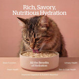 Now! Cat GF Good Gravy Flaked Chicken Salmon 3oz