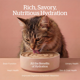 Now! Cat GF Good Gravy Pate Chicken 3oz