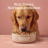 Now! K9 GF Good Gravy Minced Chicken Salmon 12.5oz