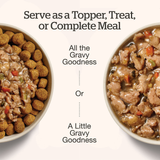 Now! K9 GF Good Gravy Minced Chicken Salmon 12.5oz