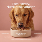 Now! K9 Good Gravy Minced Chicken with Grains 12.5oz