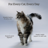 Now! Cat GF Fresh Good Gravy Chicken 3lb