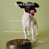 Now! K9 Good Gravy Small Breed Ancient Grain Chicken 3.5lb