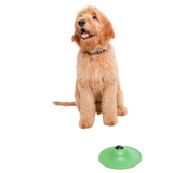 Stashios Dog Soothing Saucer Toy