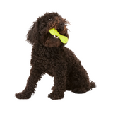 West Paw Hurley XS